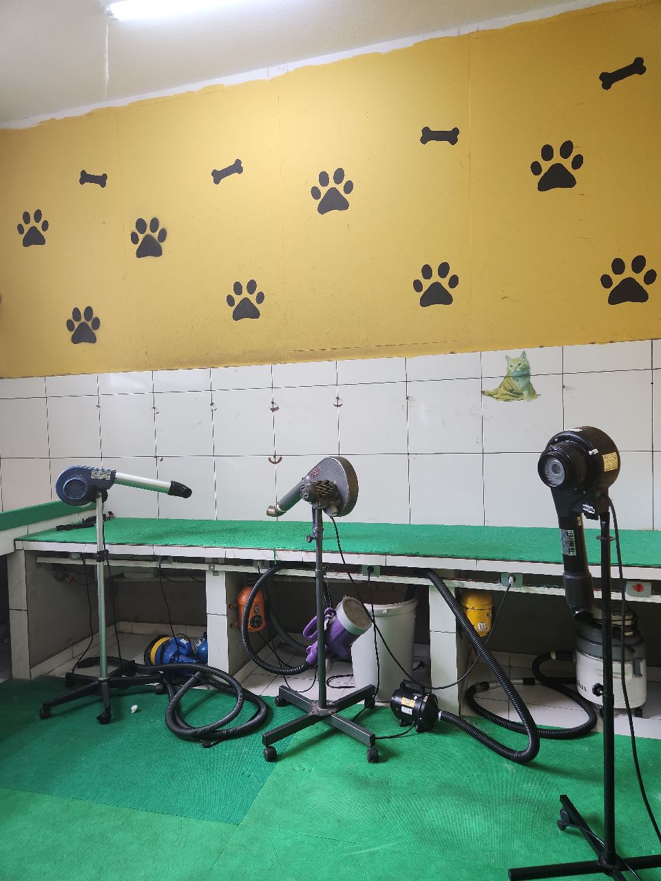 Pet Shop Pet Bros em Moema e Saude (10)